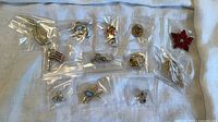 All twelve brooches displayed in individual bags