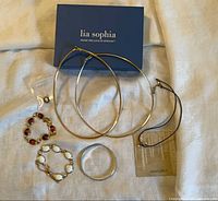 Lot overview showing all seven jewelry pieces and Lia Sophia box