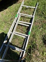 Full view of ladder side showing two-section construction and rungs