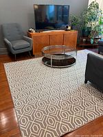 Rug placed in living room showing full size and pattern