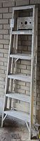 Front view of entire aluminum ladder leaning against brick wall