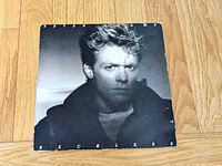 Front jacket showing Bryan Adams portrait and album title