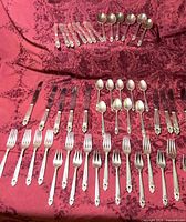 Entire set laid out on cloth showing all 50 pieces