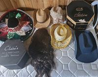 Group shot of all hats, wig and two hat boxes on mattress