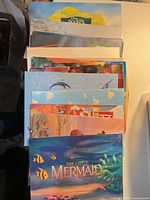 Stack of lithograph folders, top showing The Little Mermaid cover and others partially visible