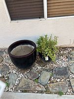 Large black glazed ceramic planter and potted succulent side by side on stone patio
