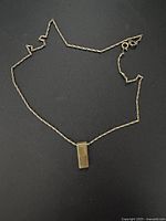 Full view of necklace laid out showing chain and pendant