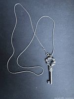 Full view of necklace showing chain length and key pendant