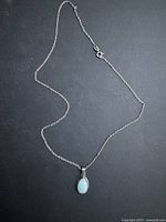 Full view of necklace laid flat showing chain and pendant