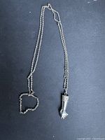 Full view of necklace showing chain and pendant