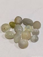 Group of 14 cat’s eye cabochons on white background
