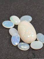 Large and small opal cabochons grouped on black surface