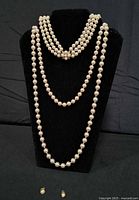 Three pearl necklaces of varying lengths displayed on velvet bust with earrings below
