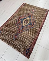 Full view of rug showing entire design and dimensions context