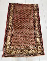 Full view of the rug showing overall design, colors, and one fringe end