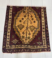 Full view of rug showing overall design and colors