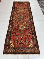 Full view of entire runner rug showing design and dimensions