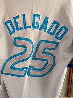 Back of jersey showing DELGADO and 25