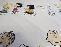 Full view of duvet cover showing multiple Peanuts characters