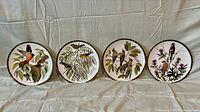 Four Franklin Porcelain Songbirds of the World plates, front view