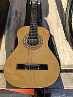 Full view of guitar on gig bag showing body, bridge and rosette