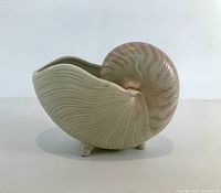 Side view showing nautilus form and glaze coloration