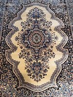 Full view beige/navy rug pattern