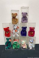 Front view of all 10 Beanie Baby bears stacked in their display cases