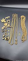 Entire lot showing necklaces, brooches, ring, earrings