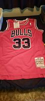 Full front view of red Bulls No.33 Scottie Pippen jersey showing patches and hangtag