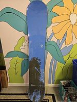 Full topside view showing blue graphic and binding insert pattern