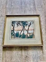 Framed photograph front view showing image, mat and frame