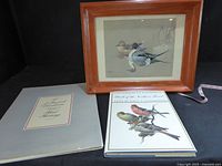 Group shot of framed print, portfolio folder and illustrated book