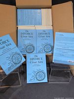 Open shipping box containing stacks of identical light-blue paperbacks The Divorce by César Aira