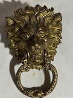 Front view showing lion head and ring