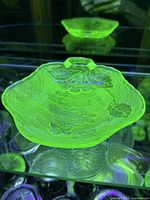 Dish under blacklight showing uranium glow