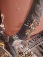 Close-up of one tub’s claw foot showing rust and peach exterior