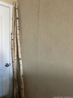 Three tall poles leaning against wall beside door