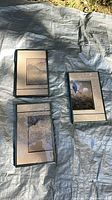 All three framed prints laid out showing overall condition