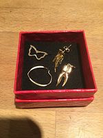 All four gold jewelry pieces inside red box