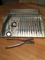 Open sterilization tray showing dental instruments, suction tips, syringe tips, paste holders, dam punch