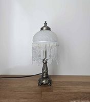 Full view of lamp unlit showing base, shade, fringe