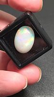 Oval cabochon opal in black gem display box held between fingers, showing play of colour