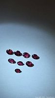 Eight oval faceted rubies arranged on surface