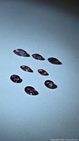 Group of eight faceted purple-pink sapphires on neutral background