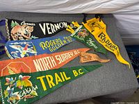 All seven felt pennants and leather beaver arranged on surface