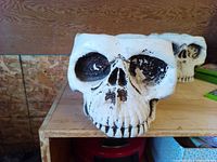 Two cement skull planters on shelf