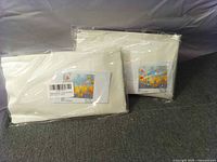 Two sealed paint kits side by side