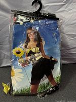 Front of packaged bee costume showing style N6042 and design