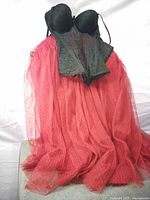 Full view of black bodice with red tulle skirt costume displayed against white backdrop